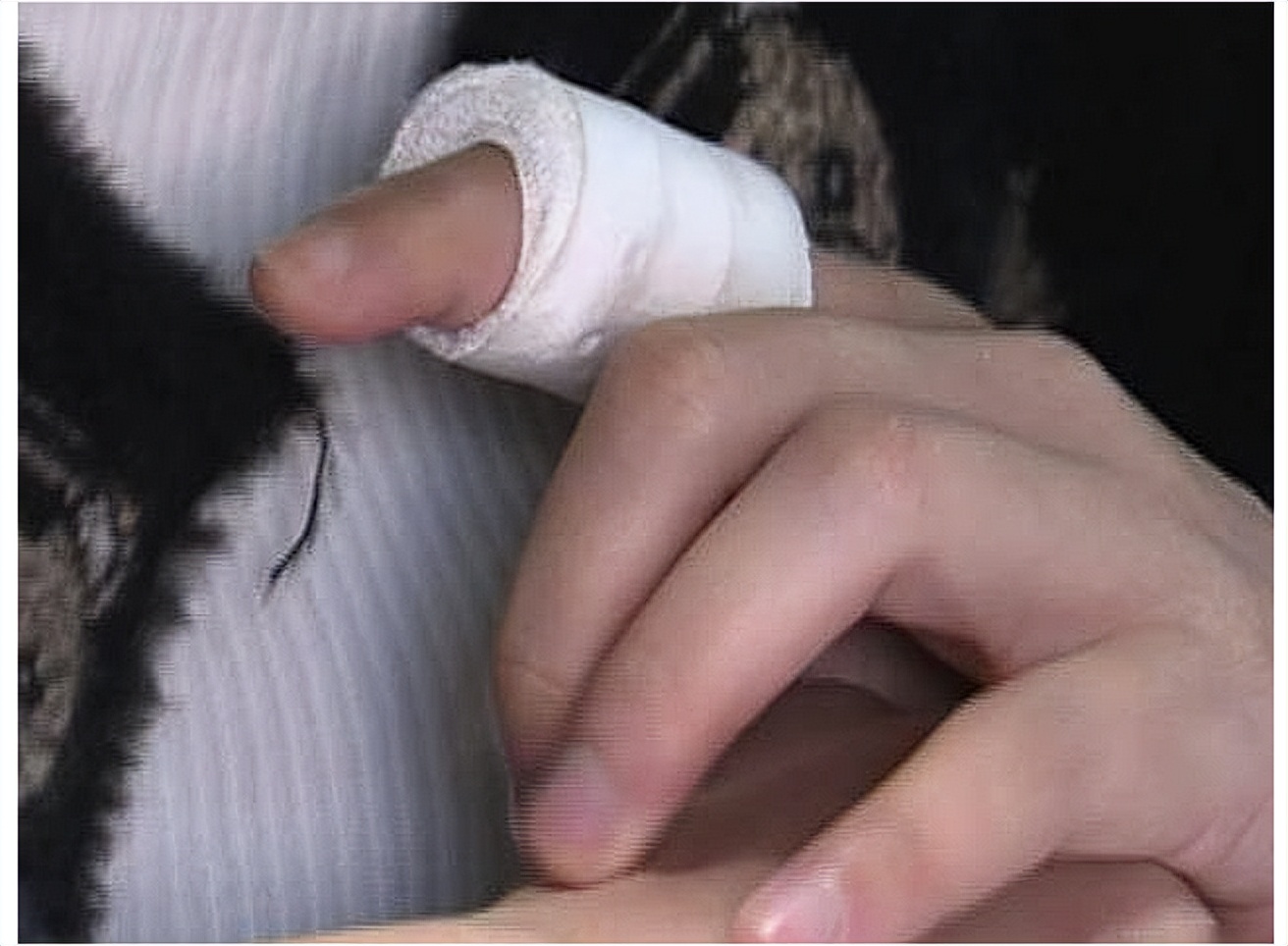 女钢琴老师被打,女钢琴老师被打后续