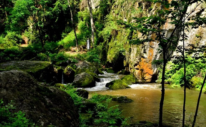 黑龙江冷门旅游城市,黑龙江省五一冷门亲子游