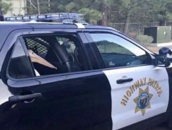 鹈鹕吃长颈鹿动画版,鹈鹕咬长颈鹿