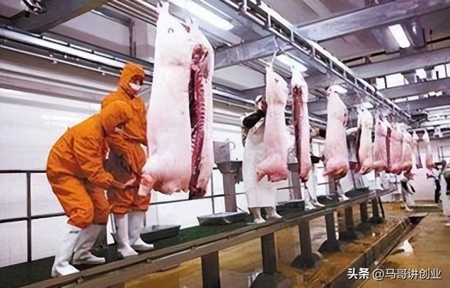 农村做什么赚钱五个致富项目,农村快速致富成本低的方法有哪些