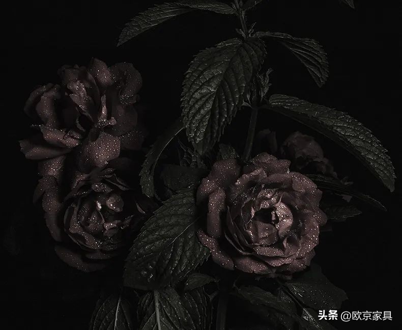 chanel沙发什么档次,法国chanel沙发