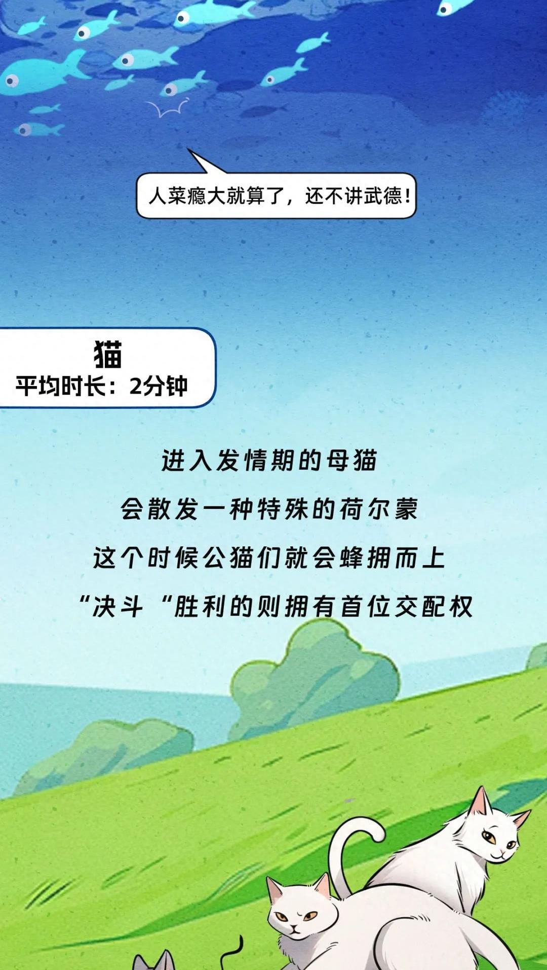 动物交配行为鉴赏，真的触碰到了我的知识盲区（漫画）