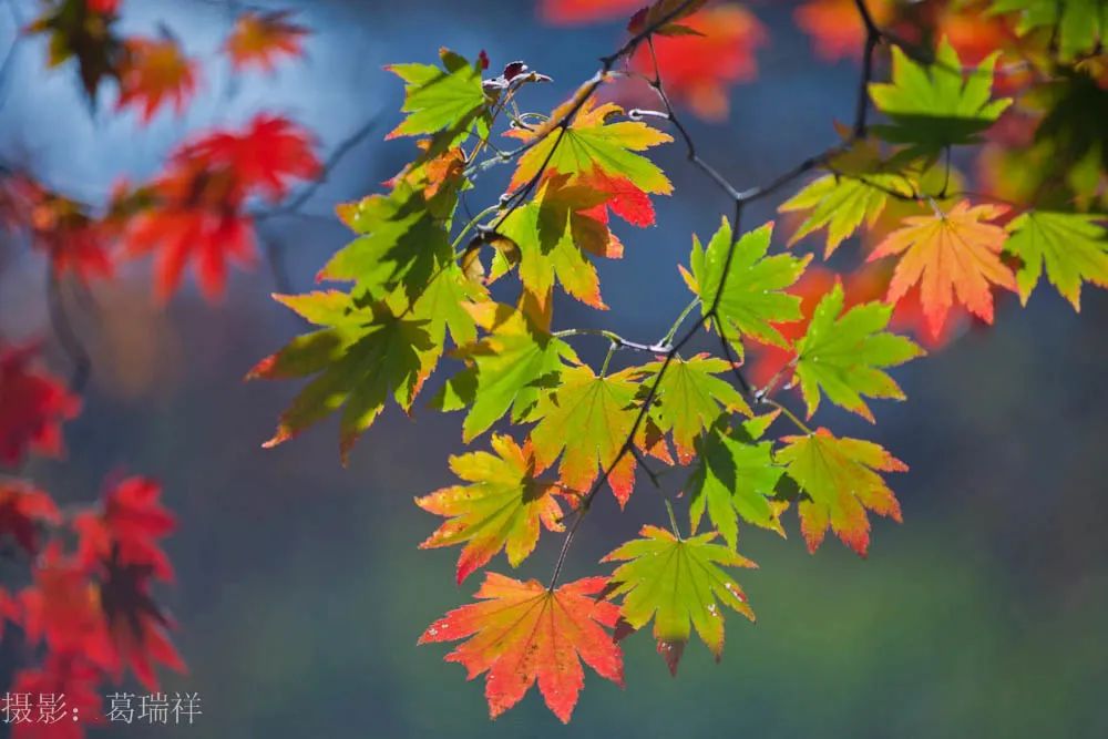 白山市出发五一2-3天短途旅游推荐,冬季白山周边一日游景点大全
