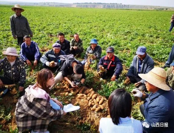 鍦熻眴闈╁懡鍔╁姏涓版敹涓颁骇,鍏ㄧ渷鍔犲伐鍨嬮┈閾冭柉