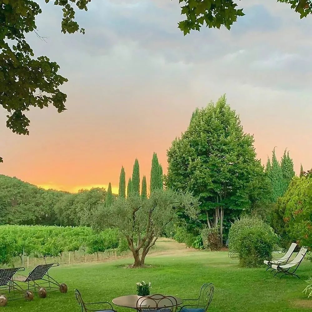 绿色背景图ins高级感小图,干净的背景图ins风冬日高清