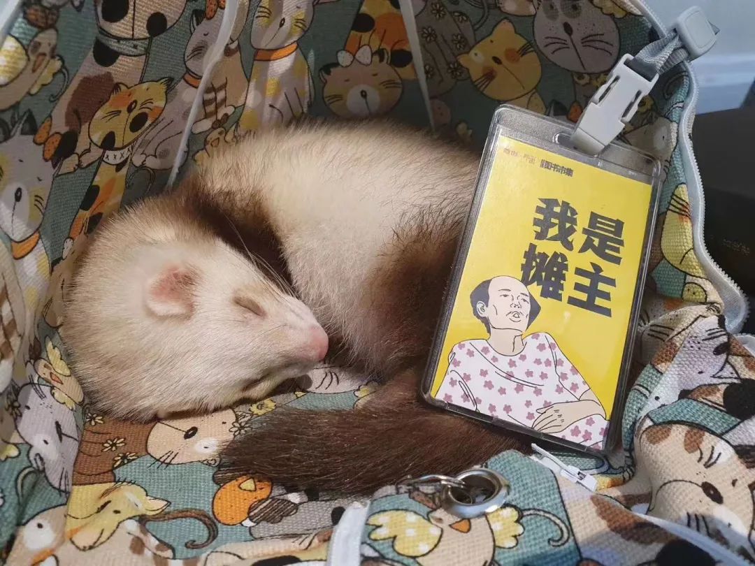 疫情后遗症：名校生逃离大厂