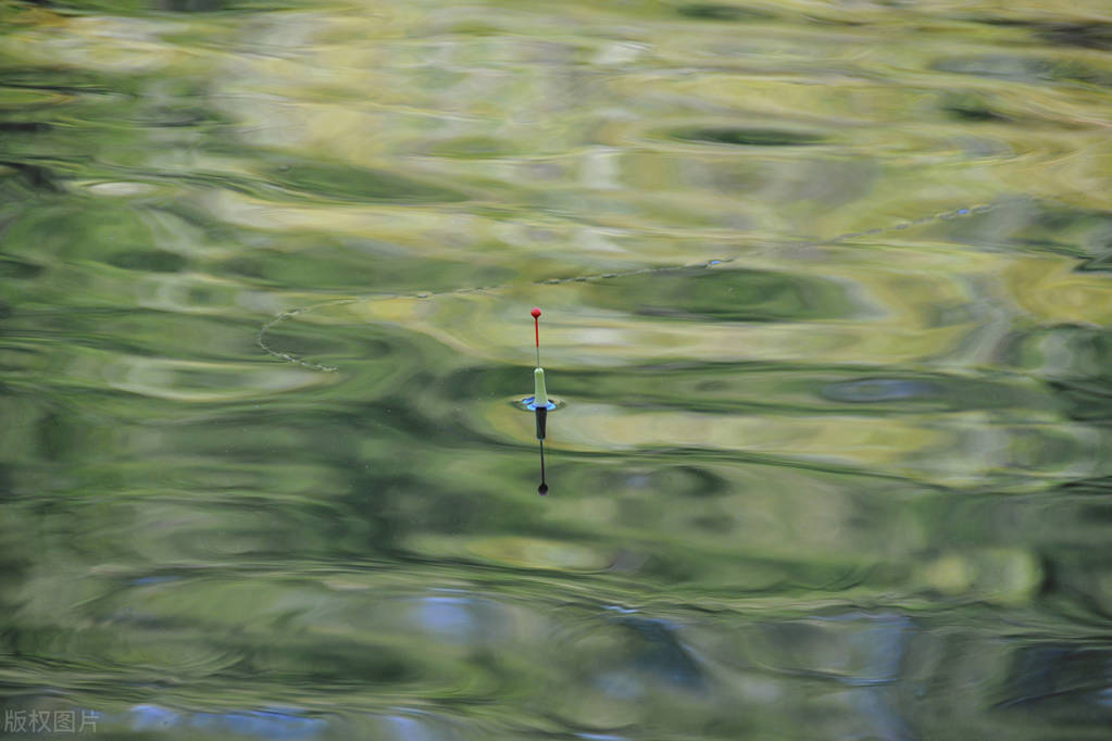 玉米钓法在什么样的环境下用,玉米打窝玉米作钓技巧