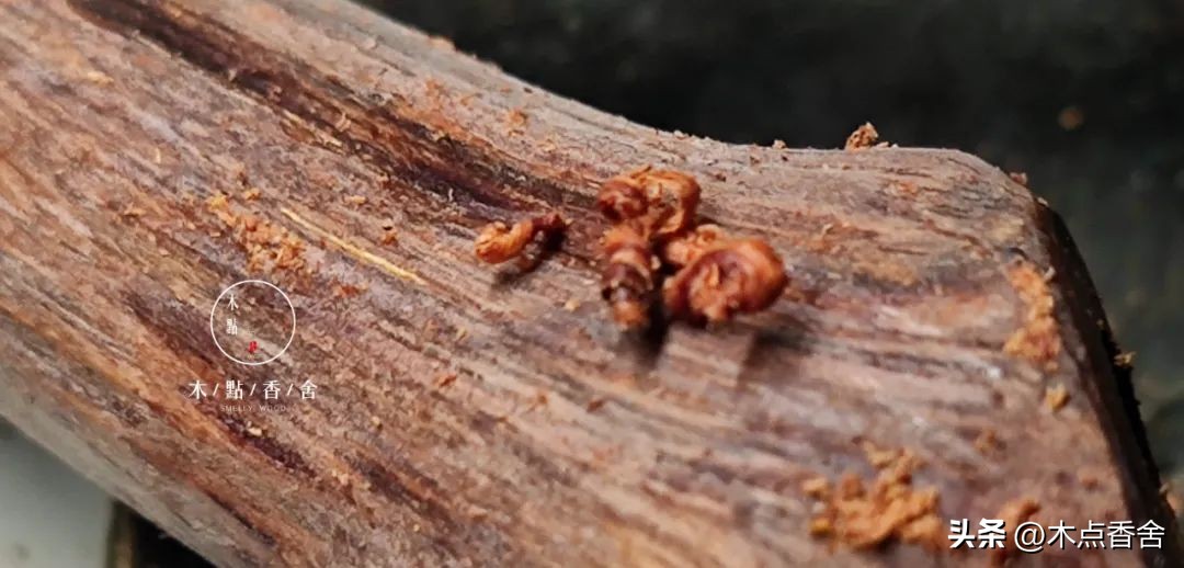怎样的降真香最好,降真香要怎么把玩
