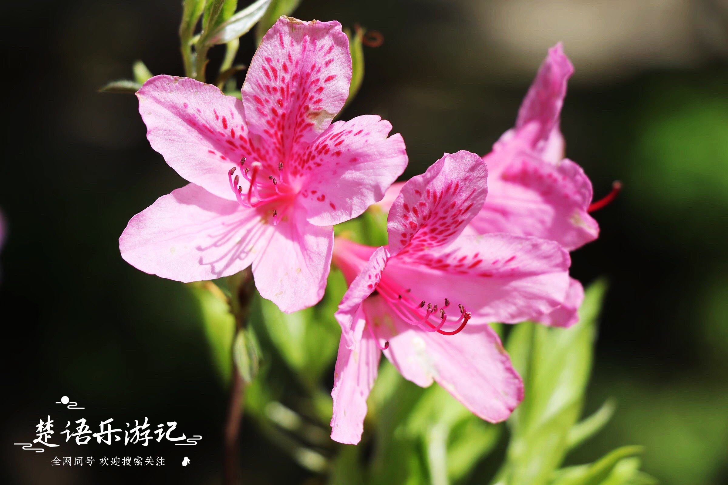 宁波风景好的露营地,宁波自驾露营地点推荐