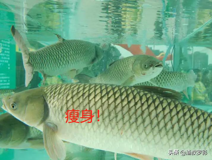 银行副行长辞职赚钱,中国银行副行长辞职