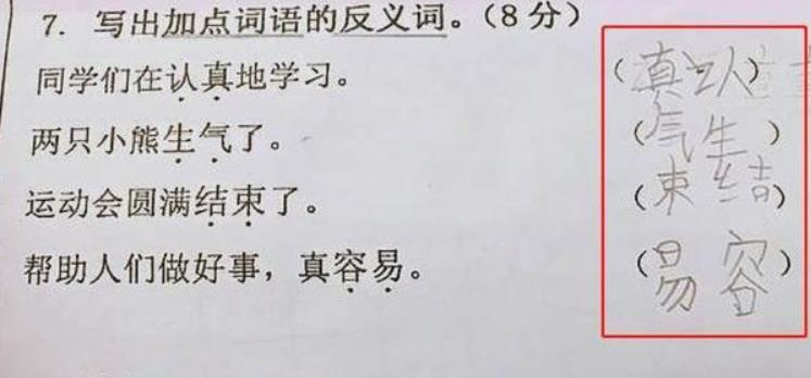 超懒小学生,最懒小学生作业走红