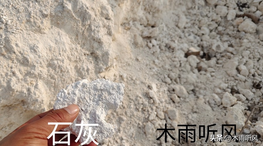 柑橘施什么肥增甜?柑橘不甜的原因与施肥措施