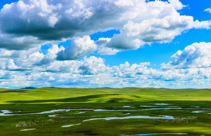 北京4人到内蒙旅游，吃手把肉品马奶酒，结账时感叹：物价真实惠