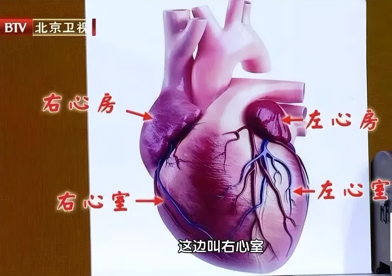 心跳次数在这个范围内的人更长寿,心跳的快慢决定着人的寿命长短
