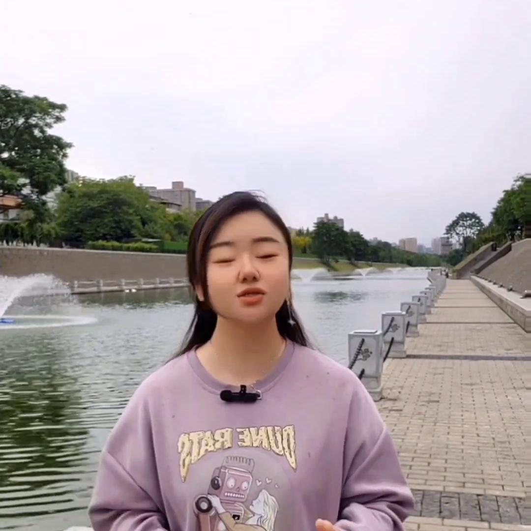 西安博物馆和陕西博物院哪个更好,西安博物馆与博物院有哪些区别