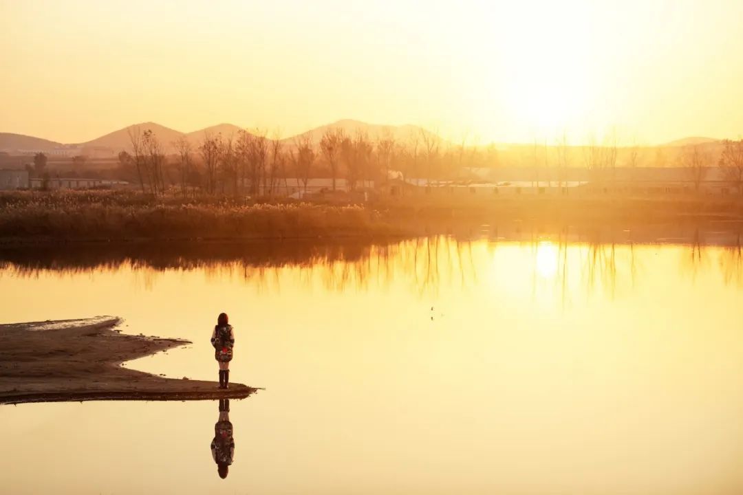 诗经最美的30首诗,诗经最美的10首诗