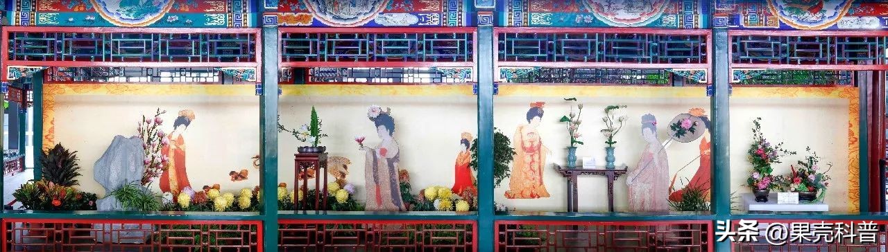 第三篇：花的奥秘|植物探秘：探索奇妙的绿色世界