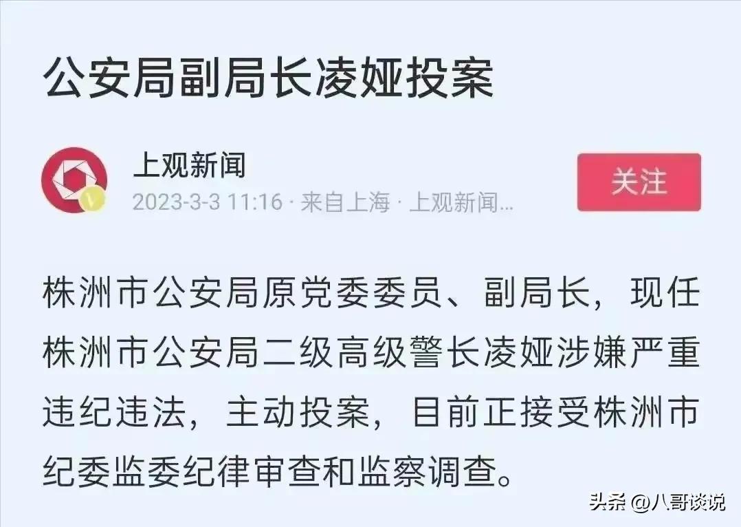 凌娅落网后，恶贯满盈的“太子奶”专案组浮出水面，个个身居要职