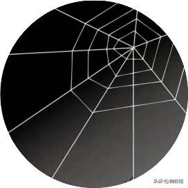 国家层面开展app违法违规收集使用,国家整治app违法举措