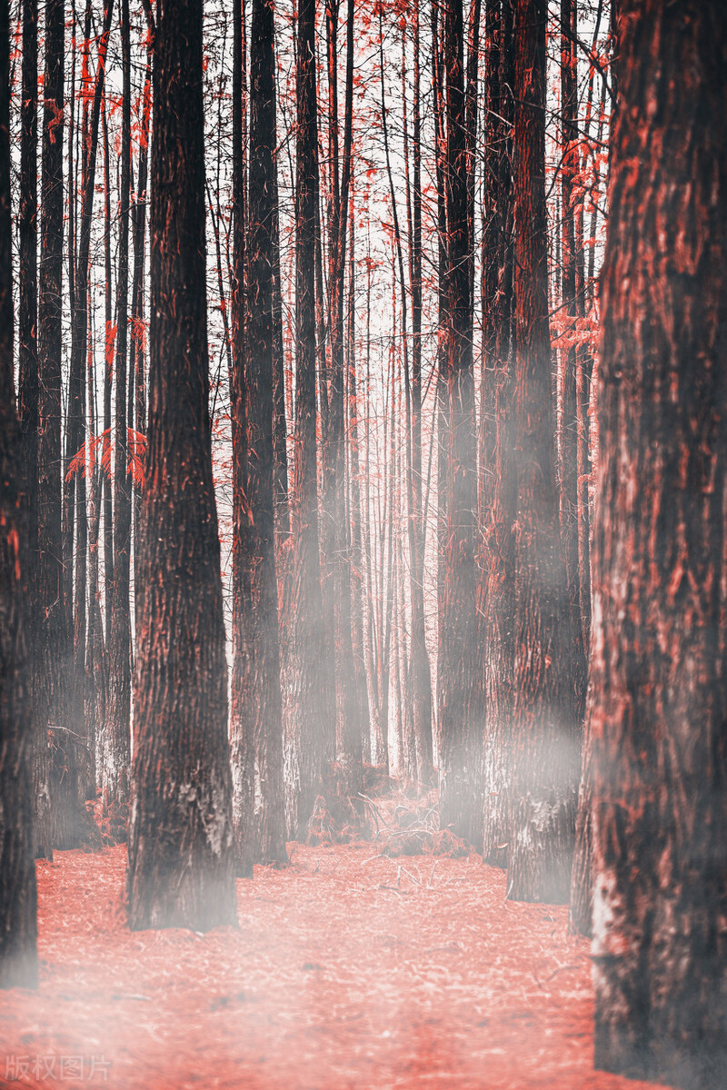 中国最牛城市航拍,中国最牛县一县跨四国