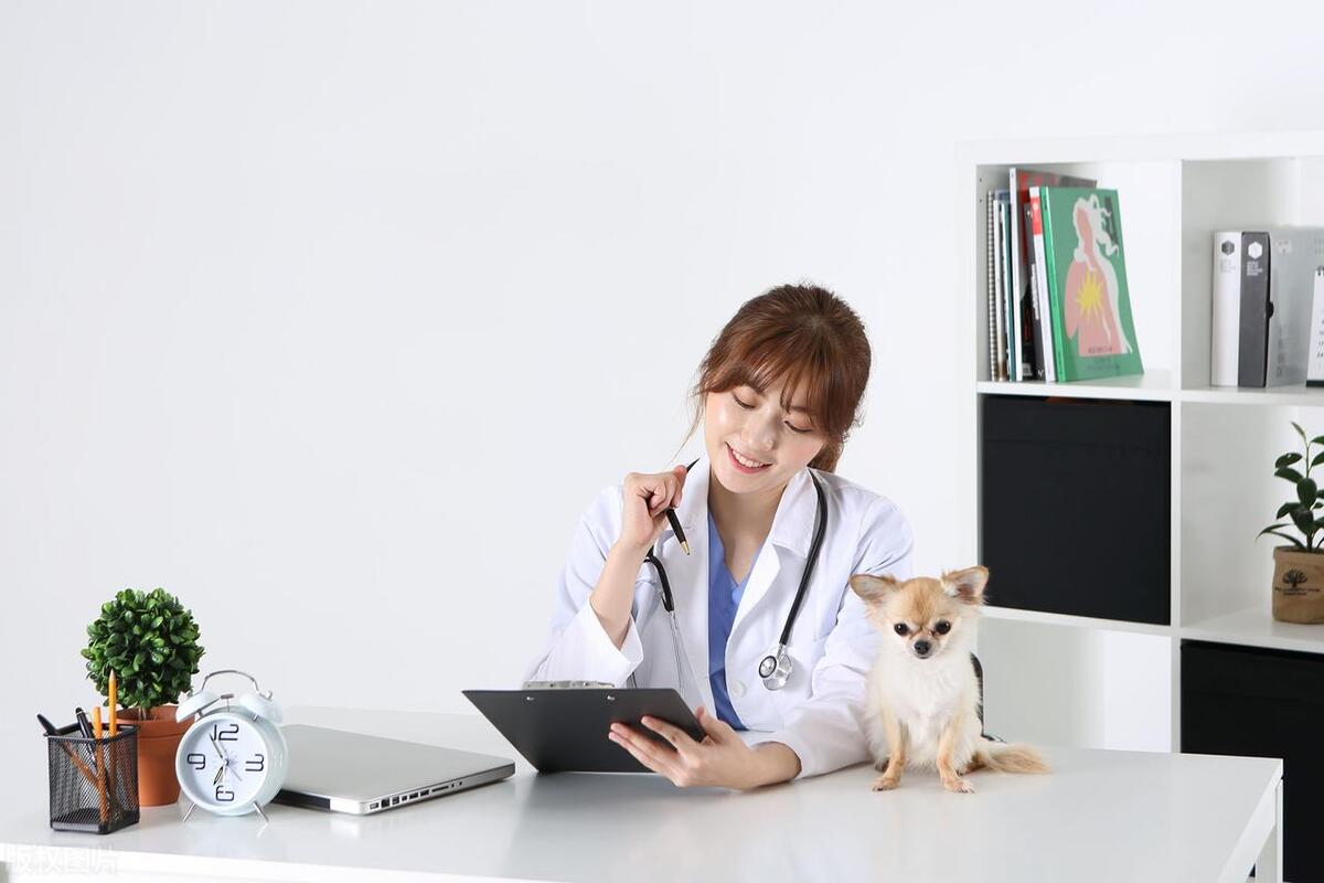 chatgpt暴富项目,chatgpt普通人能赚多少