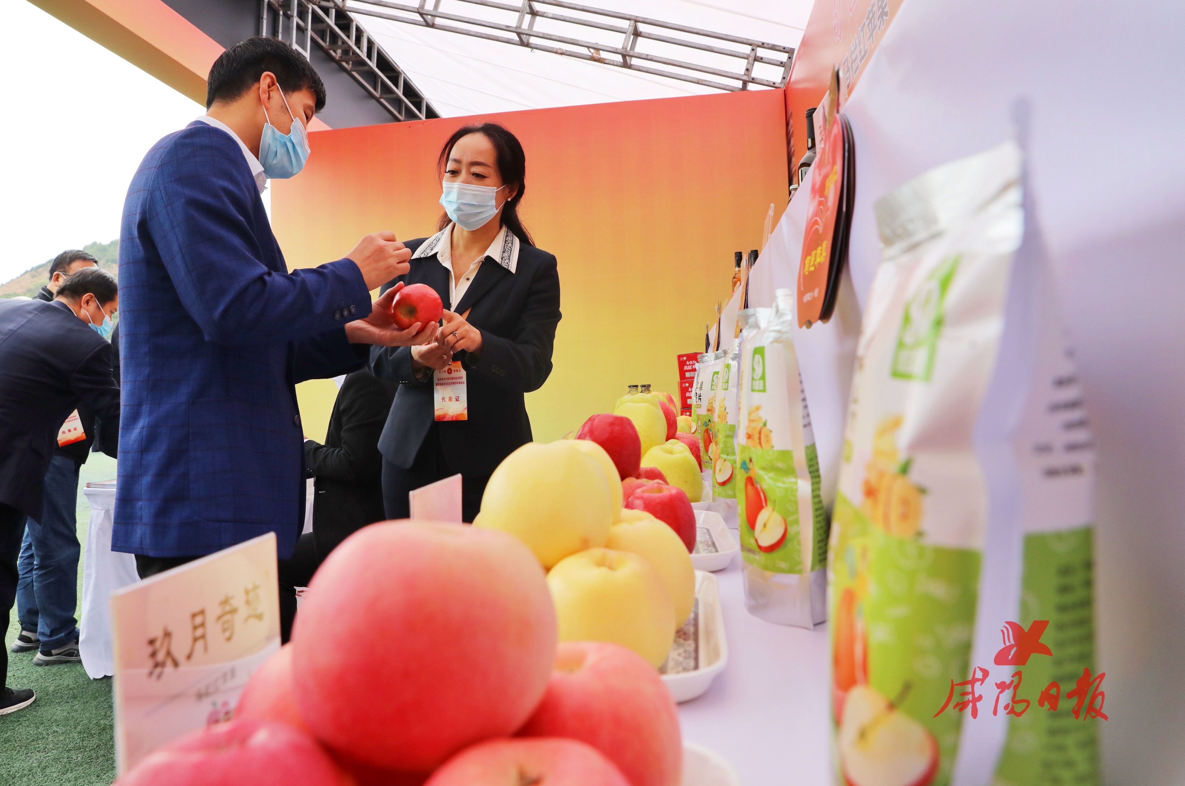 鑸屽皷涓婄殑鍜搁槼,鑸屽皷涔嬩笂