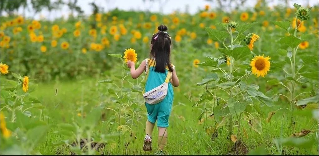 湿地公园的气息和美景,湿地公园春意浓