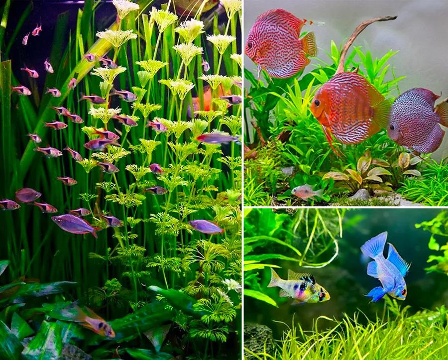 儿童画色彩技法教学目的,儿童画教程大全风景