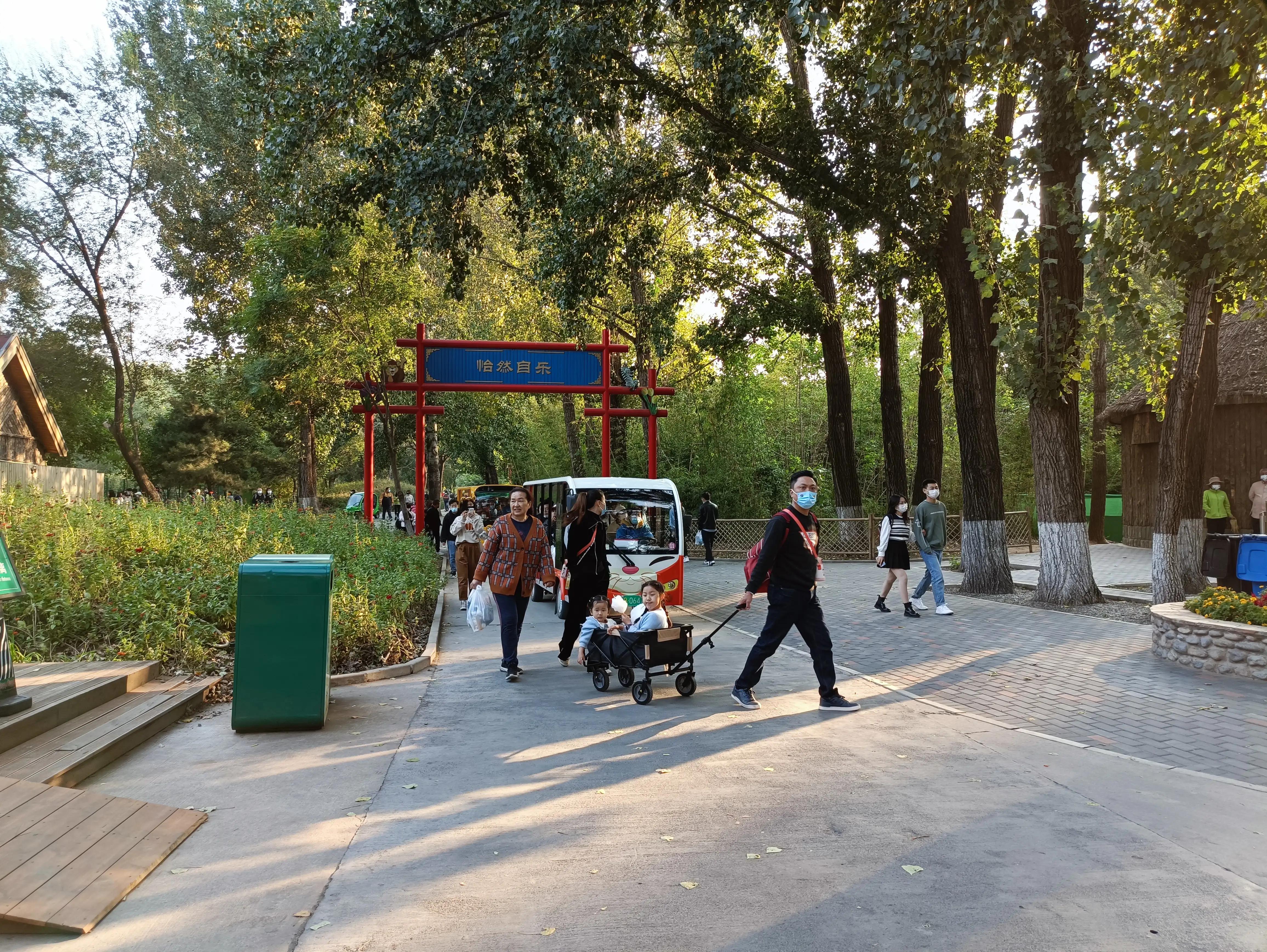 北京动物园和北京野生动物园区别,北京野生动物园狗妈妈和老虎狮子