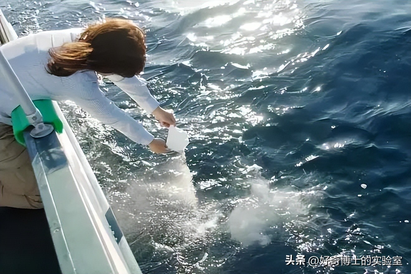 沉浸式体验死囚的最后24小时,尸体火化的真实故事