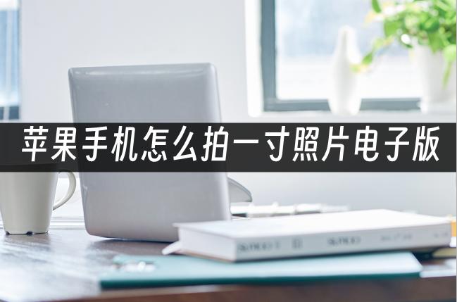 苹果手机如何拍照片教程,苹果手机如何拍一寸的免冠照片