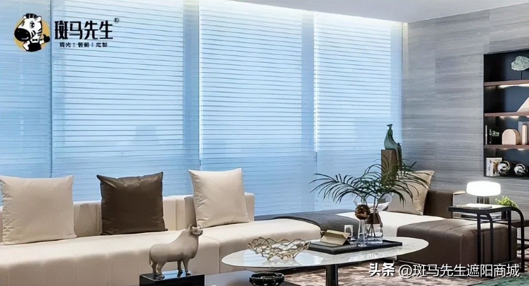 斑马先生装饰,斑马先生遮阳