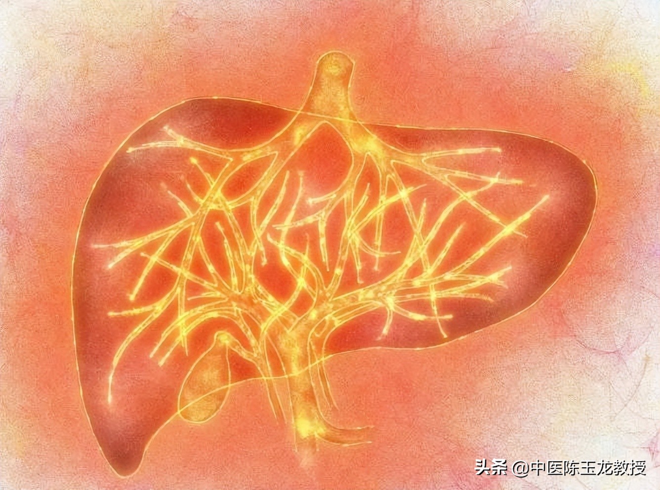 中医话“上火”，心、肝、脾、肺、肾火，你上的火究竟是哪一种？
