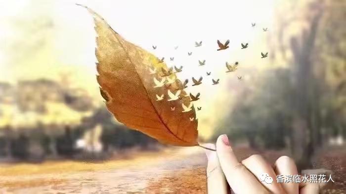 我的家乡英语思维导图怎么画,这儿真美思维导图三年级习作