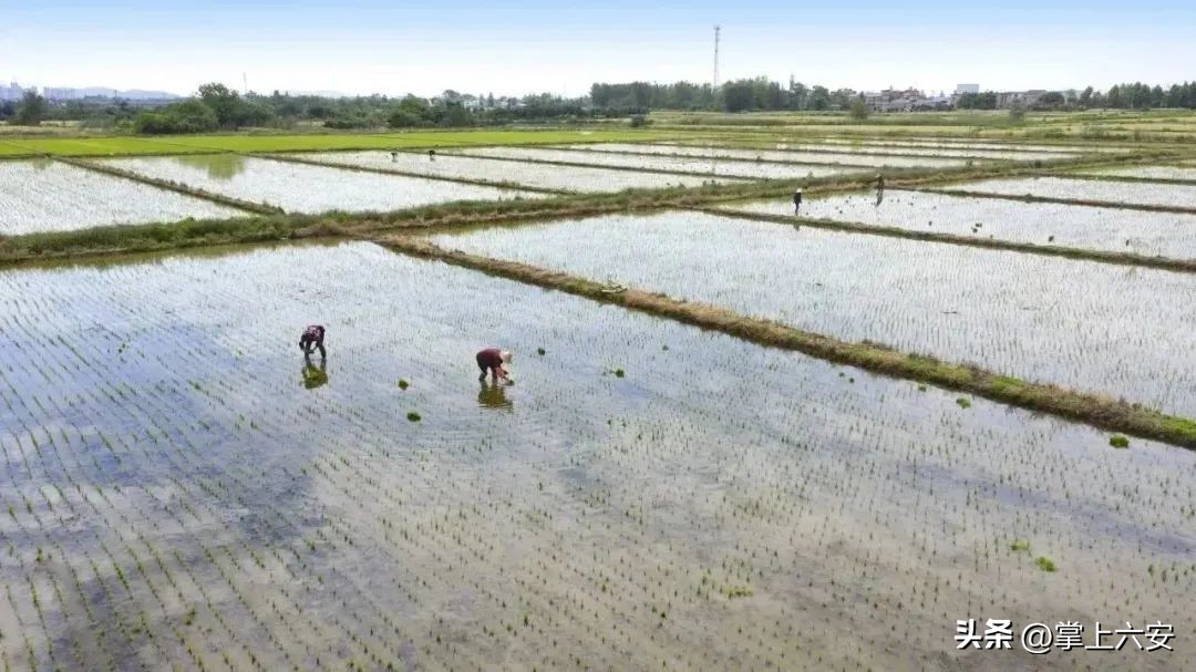 人间天河淠史杭公园门票,人间天河淠史杭在哪