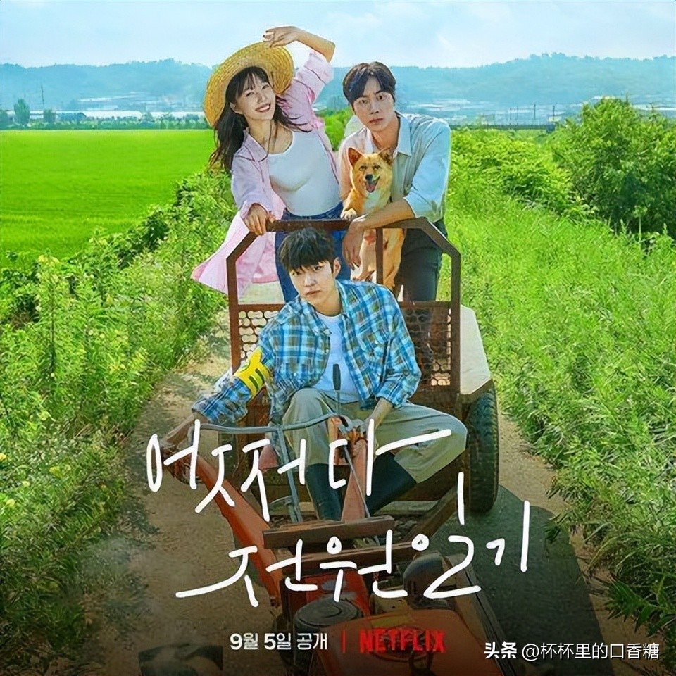 秋瓷炫宋仲基金高银演的电视,2020必看十部韩剧宋仲基