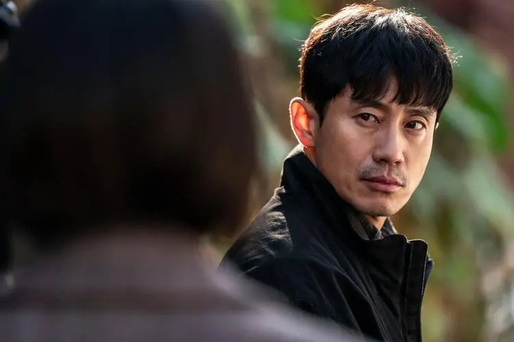 韩流在西方成功吗,韩流在世界