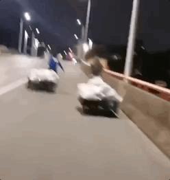 疫情围城下的上海，让我顿悟什么叫“仗义每多屠狗辈”