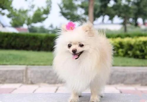 经期需要用护理液洗吗,经期护理知识