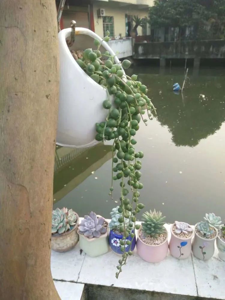 送我一轮明月文案,送我一轮明月