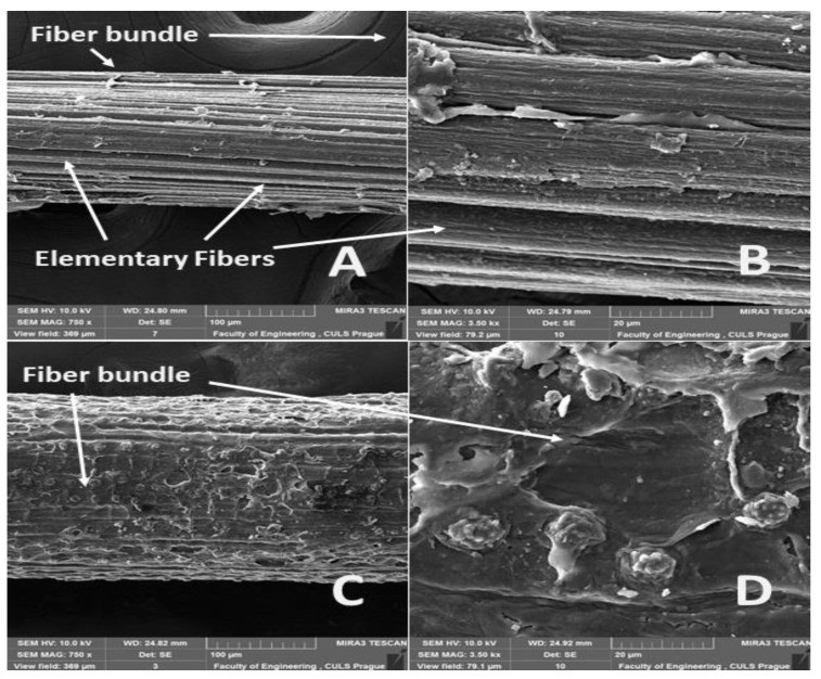 碱化处理之后，椰壳纤维和蕉麻纤维的拉抗强度是否会提升？