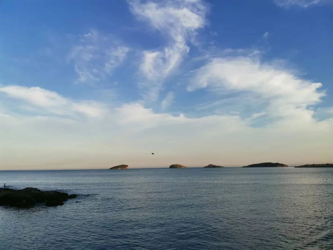 大连渔业发展,大连有多少种鱼类