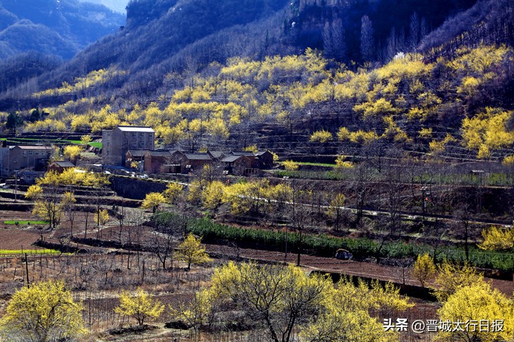 晋城蟒河风景区宾馆,晋城蟒河风景区门票