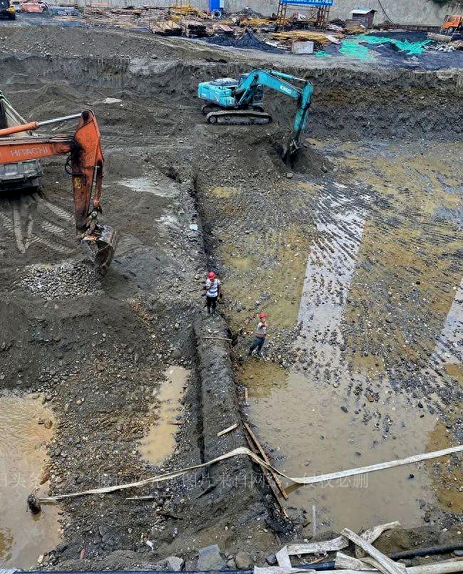 被埋超3000年40米阴沉木现身四川一工地，阴沉木为啥如此稀有？