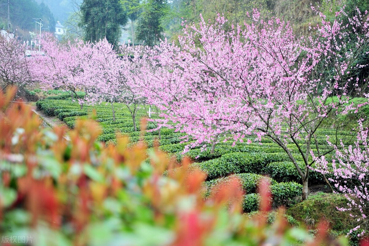 通缩要来了我们该如何应对,日本人怎么应对通缩的