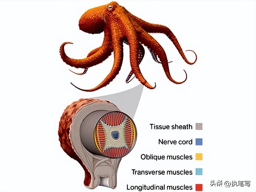 细思恐极冷知识：你害怕了吗？