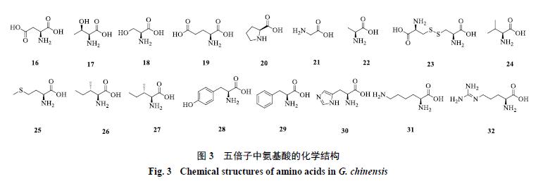 五倍子中主要有效成分类型是,五倍子药理与功效