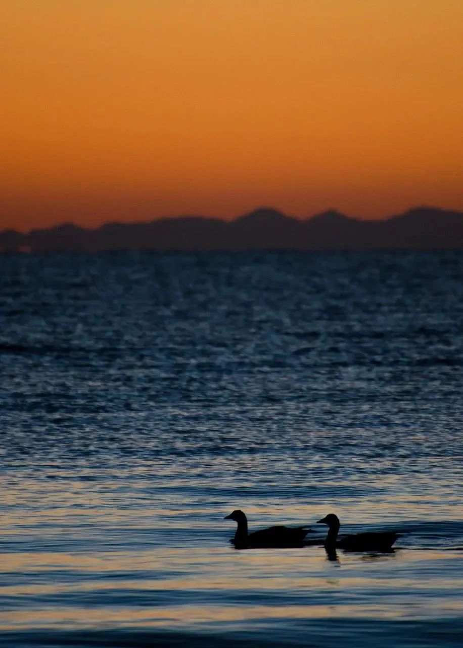 青海：美成了最不像地球的地方