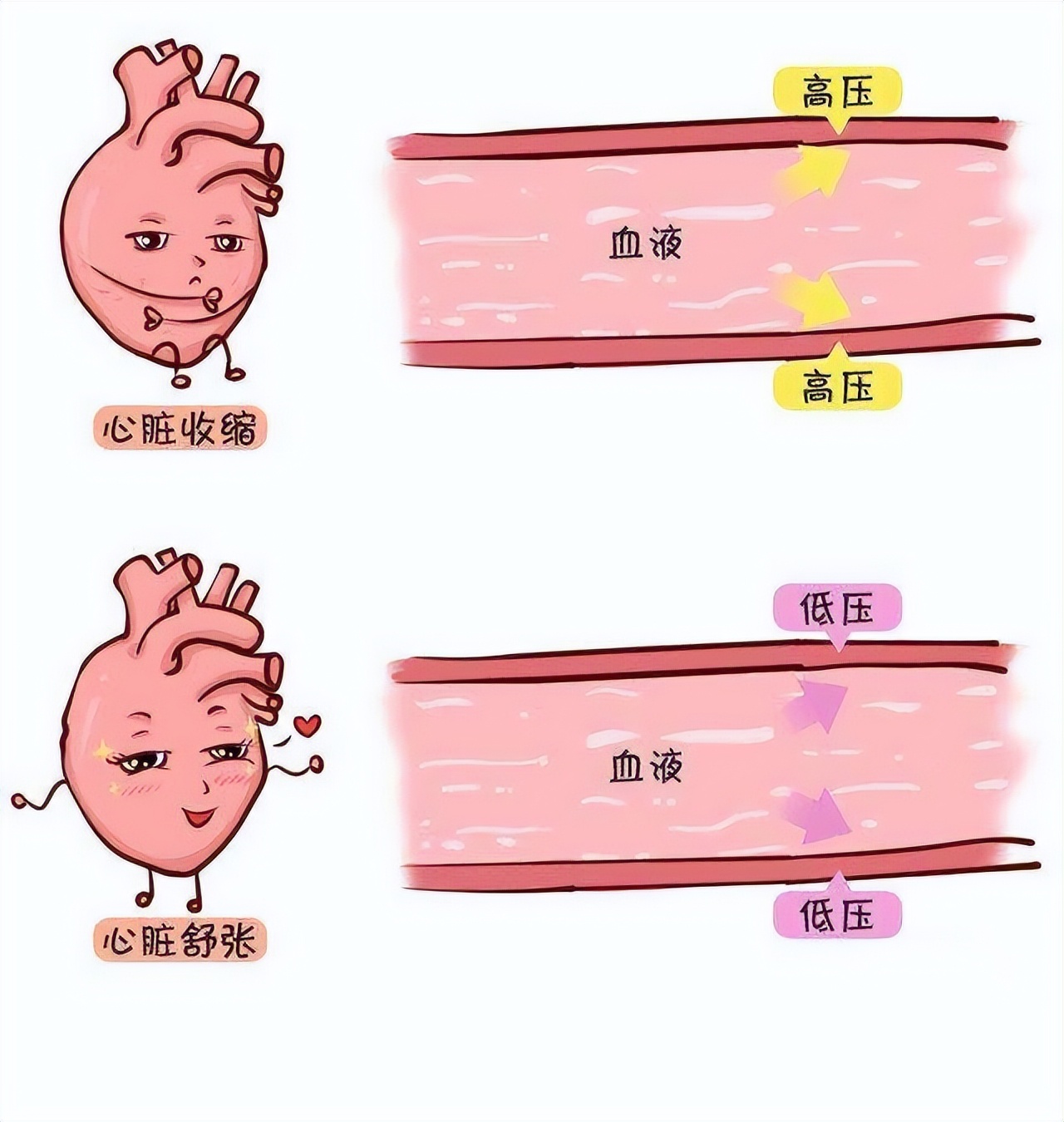 血压低压正常高压偏高原因,血压高压正常低压偏低是什么原因