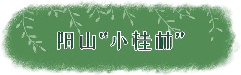 深圳充满夏天气息的风景,深圳周边有山有水的风景区